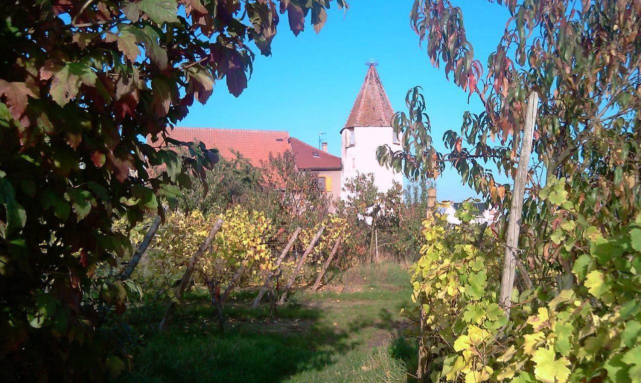 Les De La Tour, 